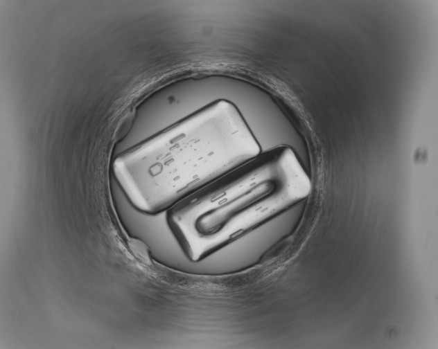 X0000115730577200911121127