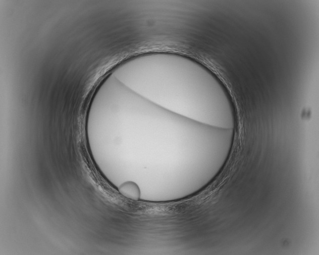 X0000115730578200911121127