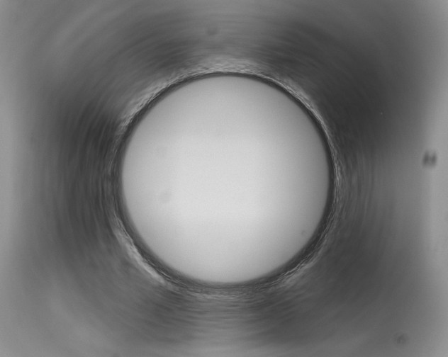 X0000115730581200911121127