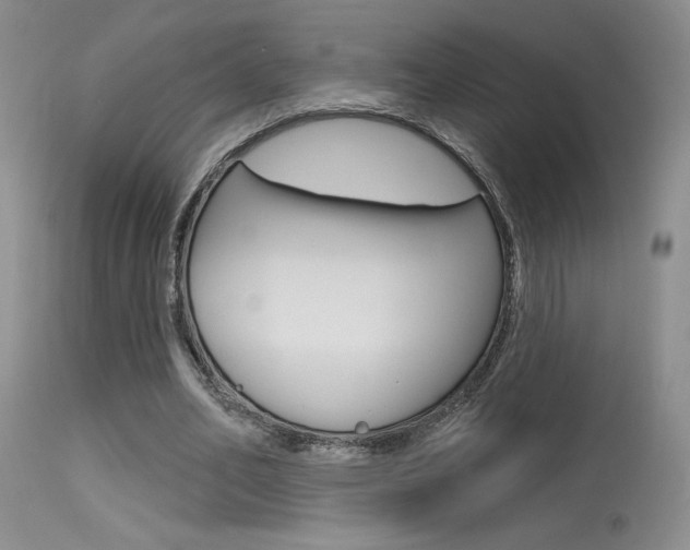 X0000115730582200911121127