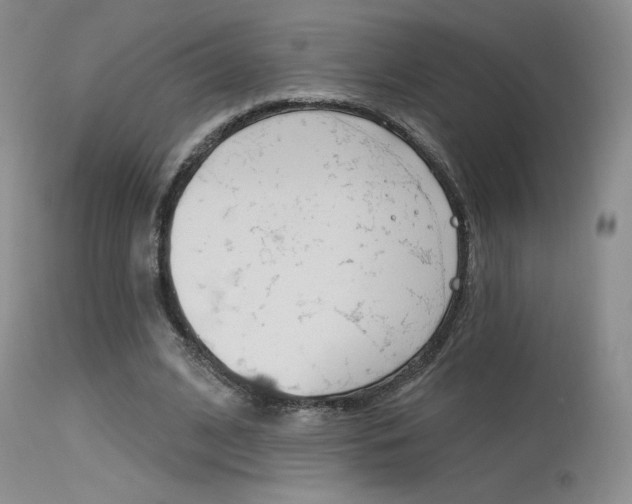 X0000115730584200911121127