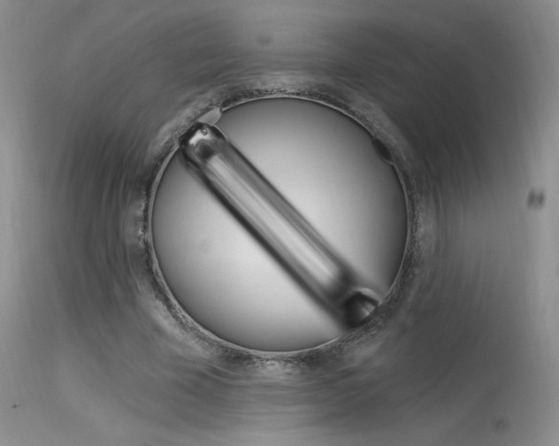 X0000115730585200911121127