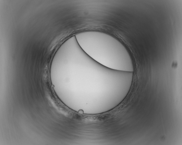 X0000115730586200911121127