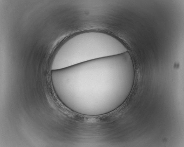 X0000115730587200911121127