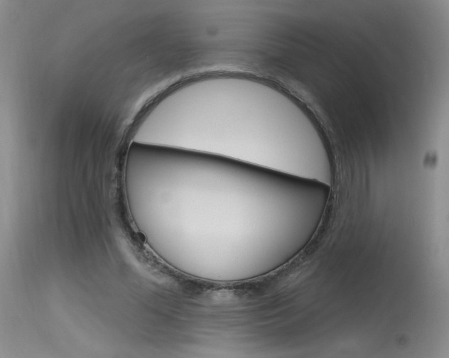 X0000115730588200911121127