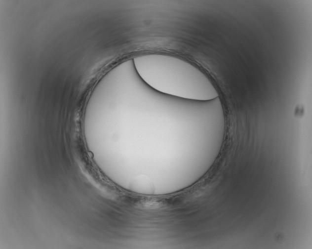 X0000115730590200911121127