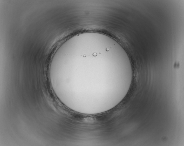 X0000115730591200911121127