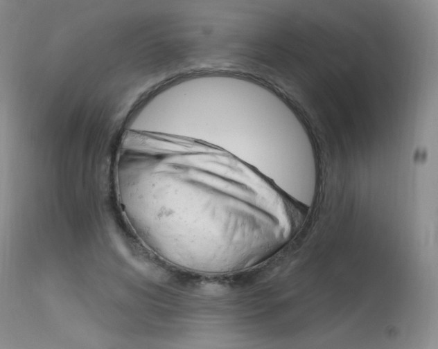 X0000115730592200911121127