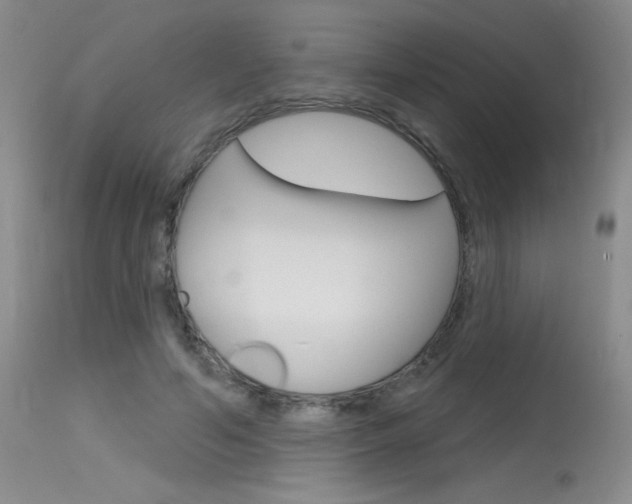 X0000115730594200911121127