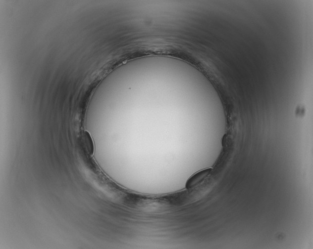 X0000115730597200911121127