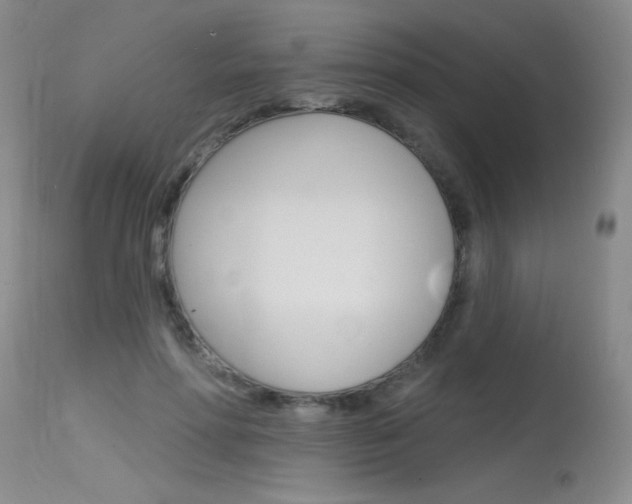 X0000115730598200911121127