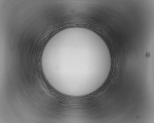 X0000115730599200911121127