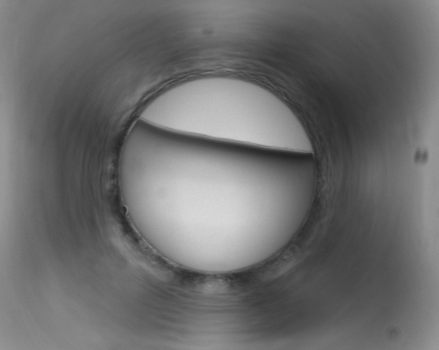 X0000115730600200911121127