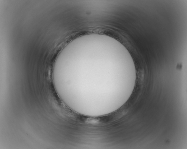 X0000115730602200911121127