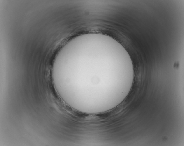 X0000115730603200911121127