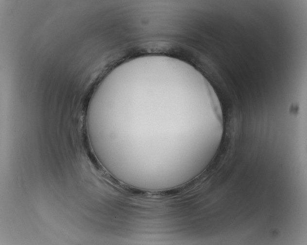 X0000115730604200911121127