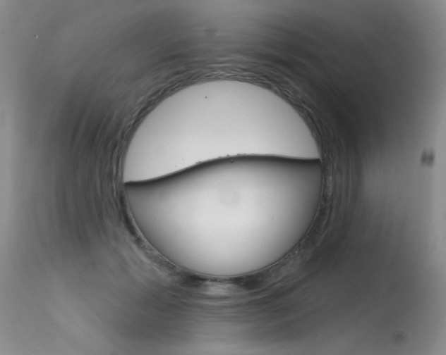 X0000115730605200911121127