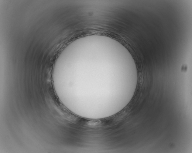 X0000115730606200911121127