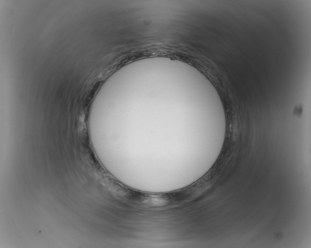 X0000115730610200911121127