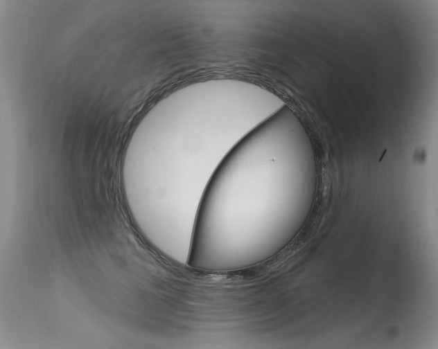 X0000115730613200911121127