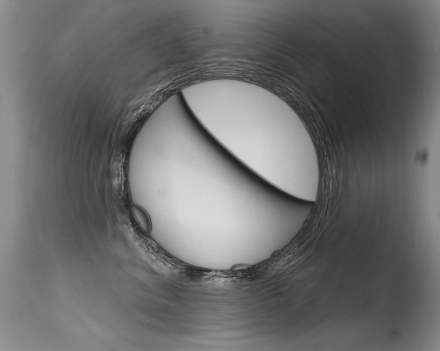 X0000115730620200911121127
