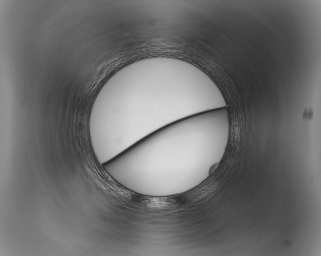 X0000115730623200911121127