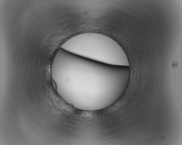X0000115730624200911121127