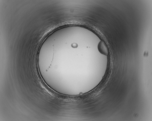 X0000115730625200911121126