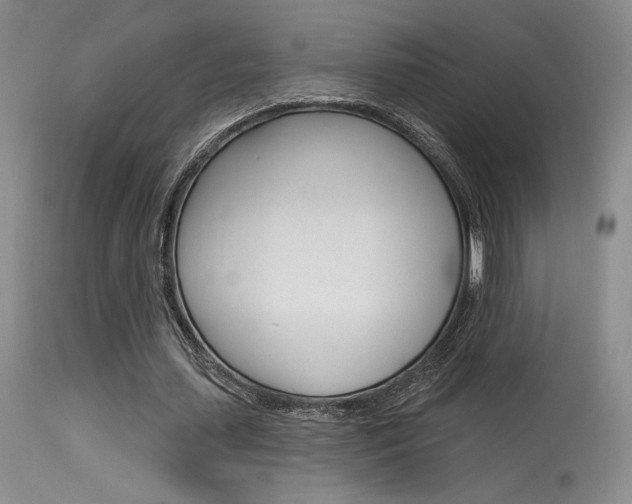 X0000115730627200911121126