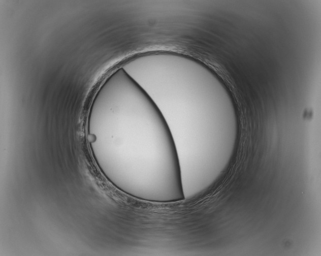 X0000115730628200911121126