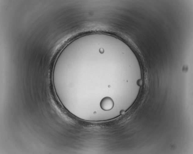 X0000115730629200911121126