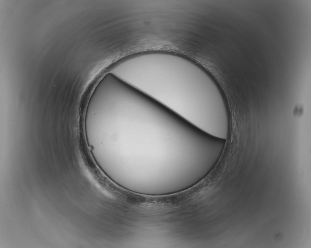 X0000115730630200911121126