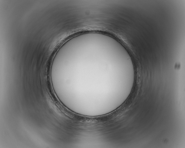X0000115730631200911121126