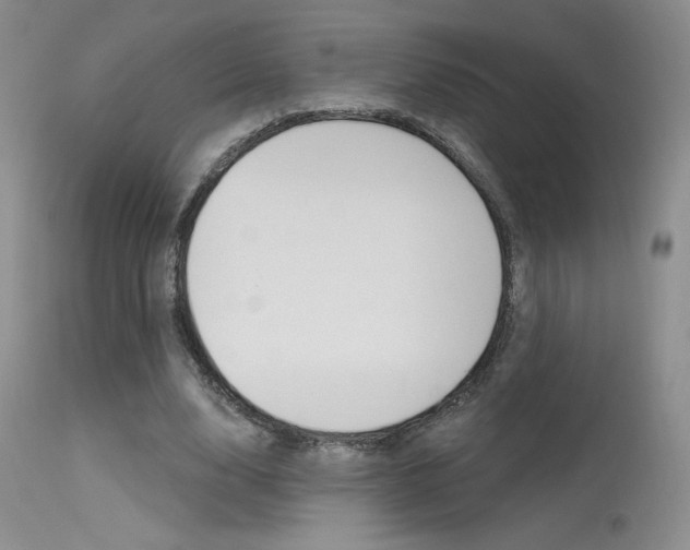 X0000115730632200911121126