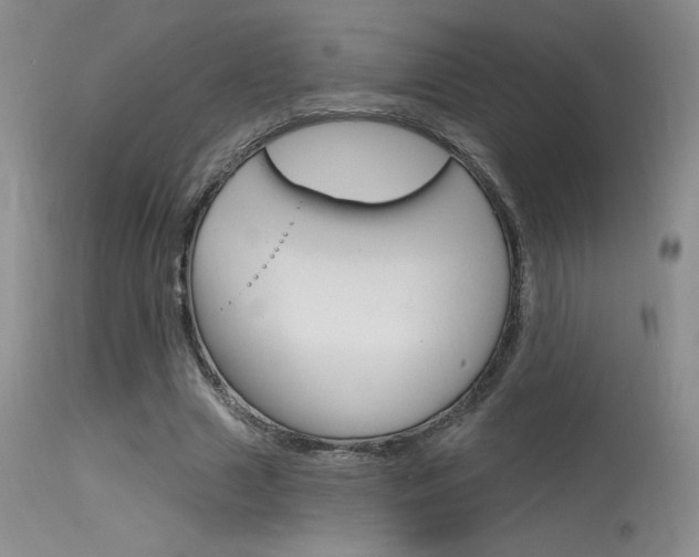 X0000115730633200911121126