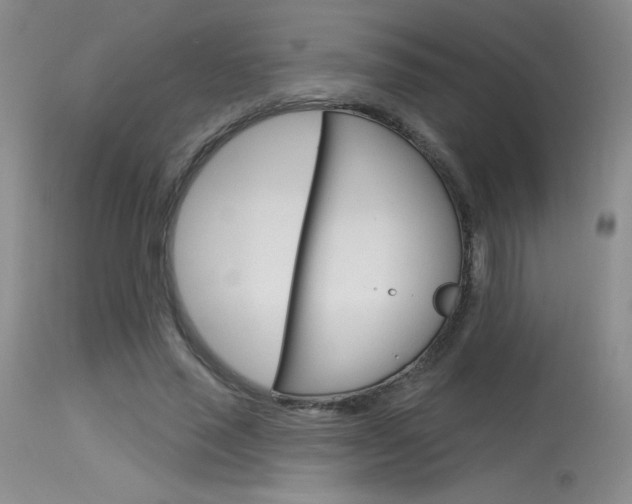 X0000115730637200911121126