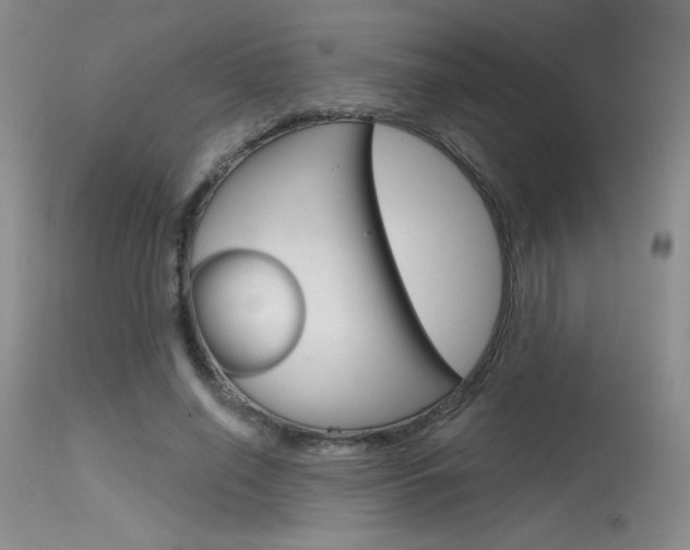X0000115730638200911121126