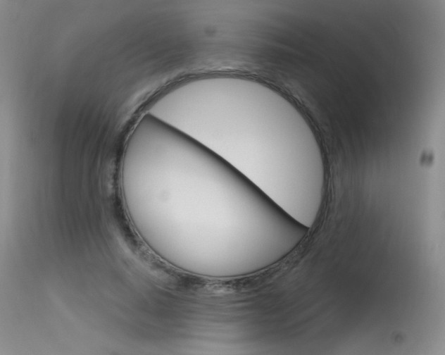 X0000115730640200911121126