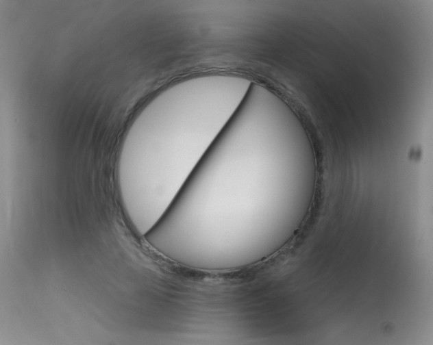 X0000115730641200911121126