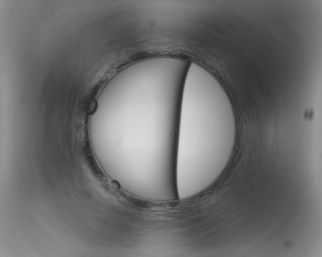X0000115730642200911121126