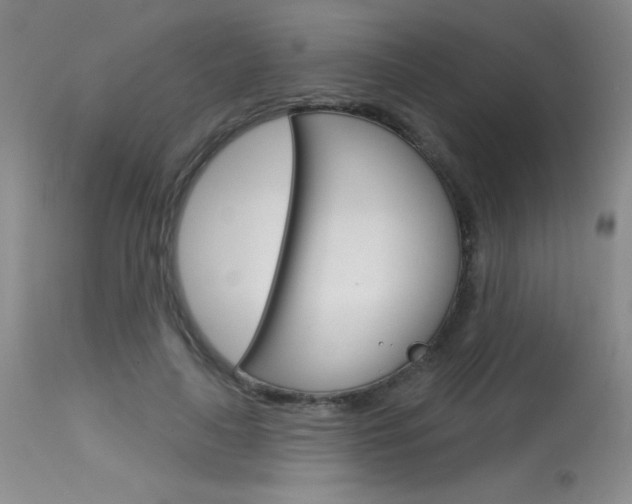 X0000115730643200911121126