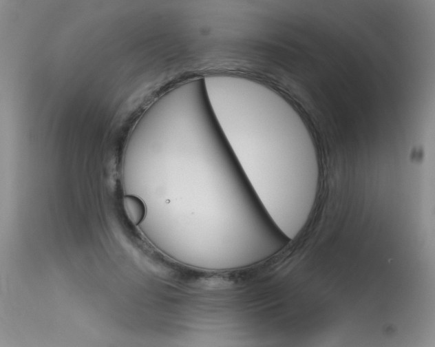 X0000115730644200911121126