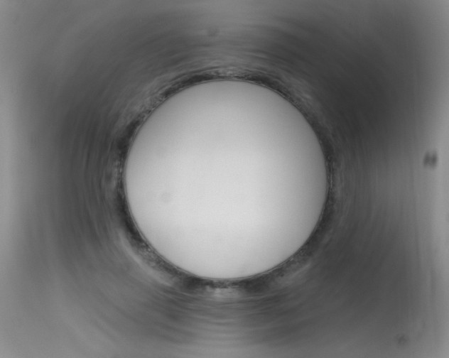 X0000115730645200911121126