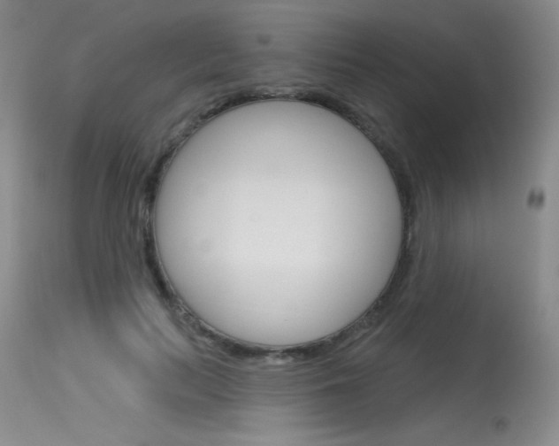 X0000115730647200911121126