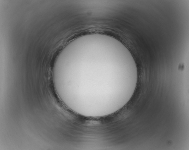X0000115730649200911121126
