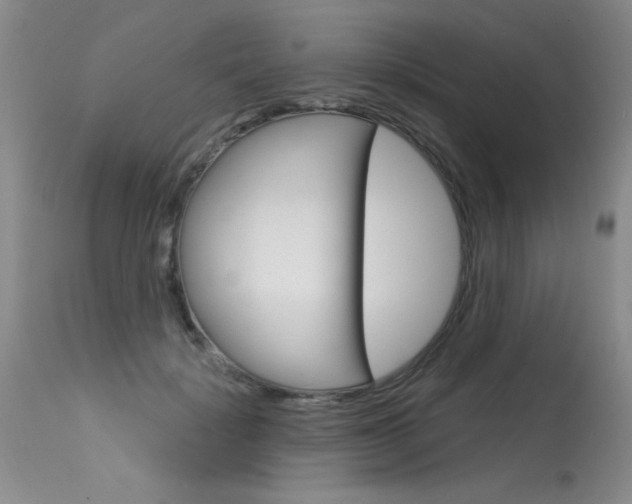X0000115730652200911121126