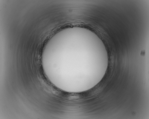 X0000115730653200911121126