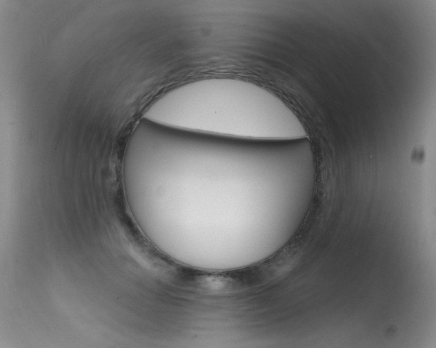 X0000115730654200911121126