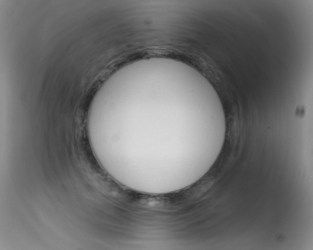 X0000115730655200911121126