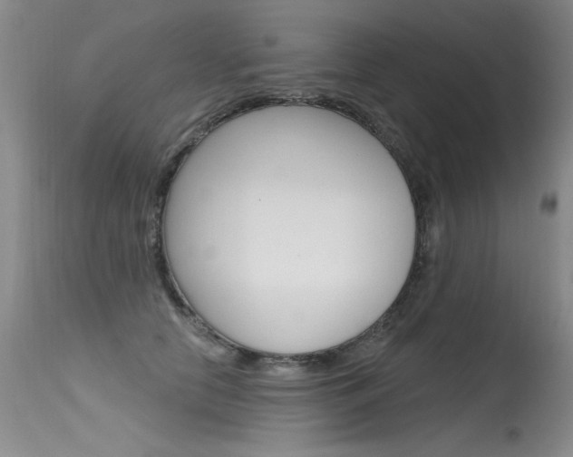 X0000115730658200911121127